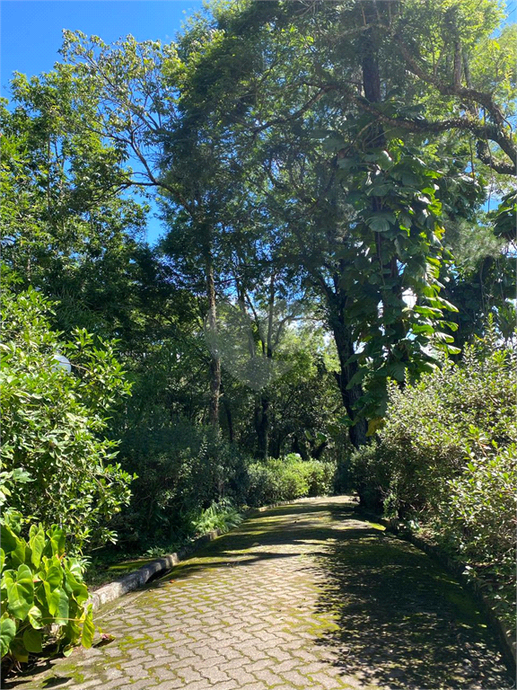 Venda Sítio Igaratá Aguas De Igaratá REO593160 22