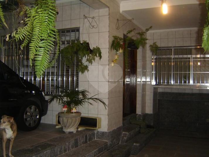 Foto REO59344