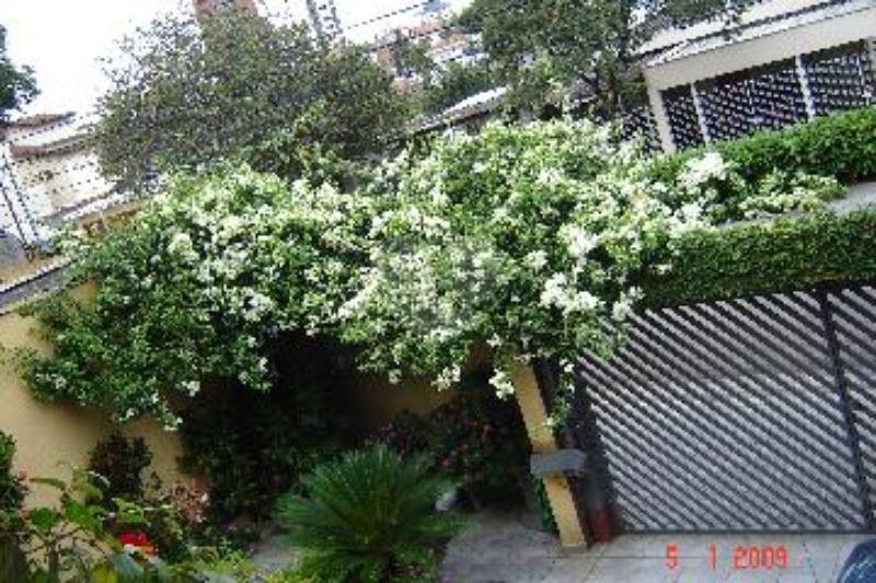 Venda Sobrado São Paulo Vila Gumercindo REO59351 24