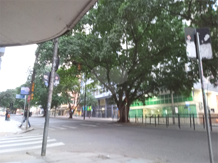 Foto REO593771