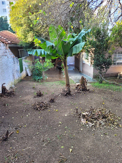 Foto REO594108