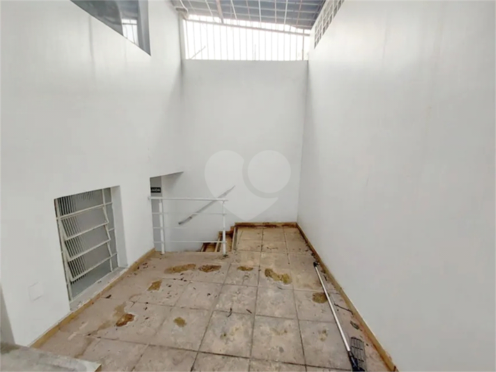 Foto REO594360
