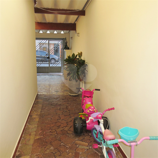 Foto REO594491