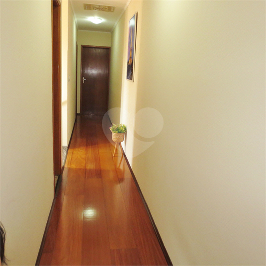 Foto REO594491