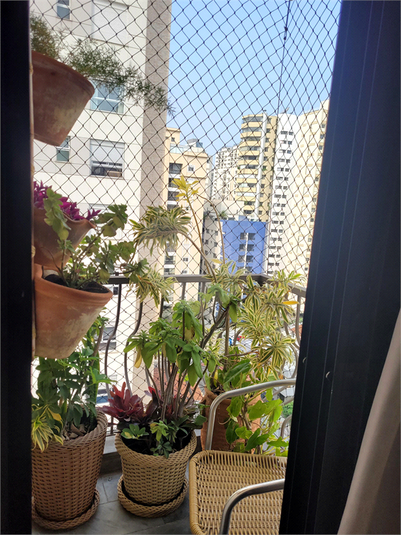Foto REO595237
