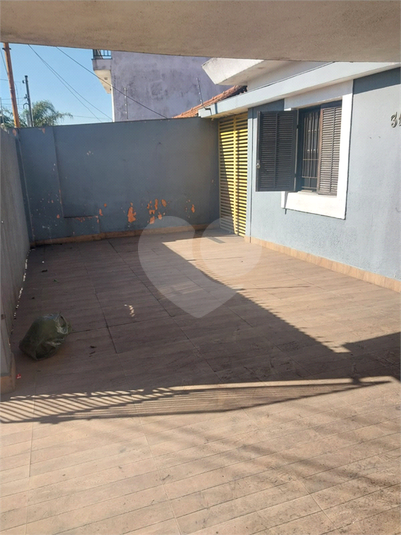 Foto REO595402