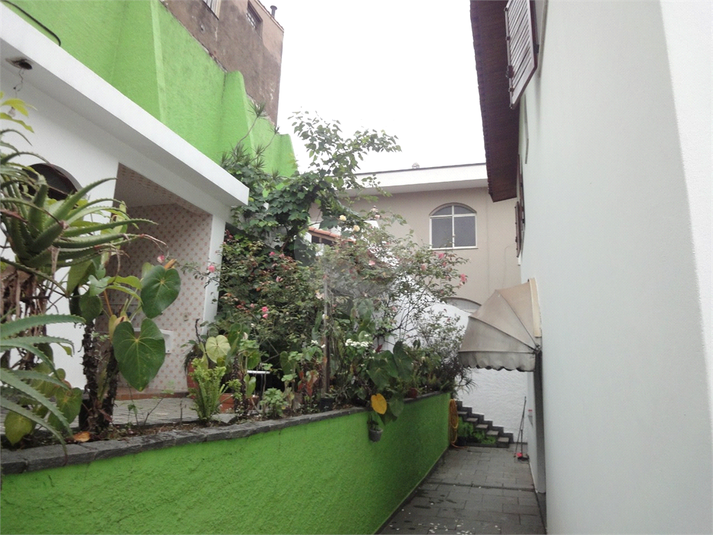 Foto REO595498