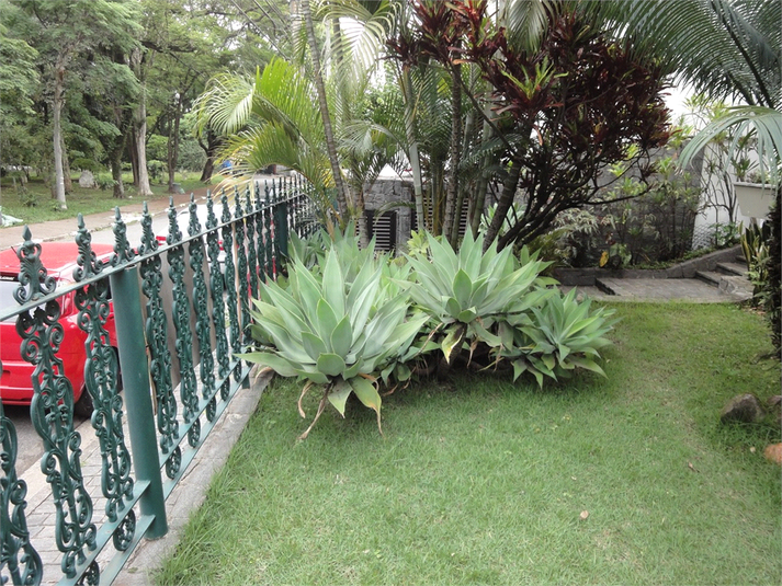 Foto REO595498