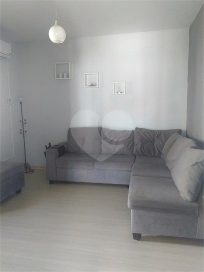 Foto REO596087