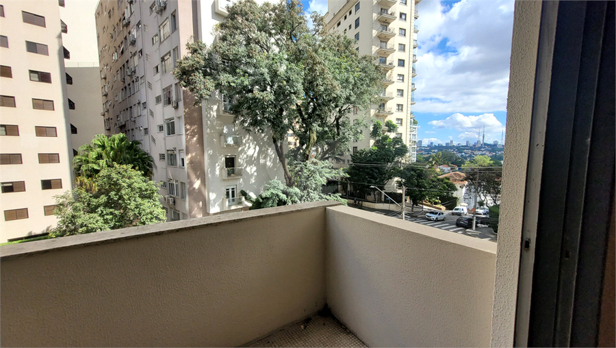 Foto REO596182