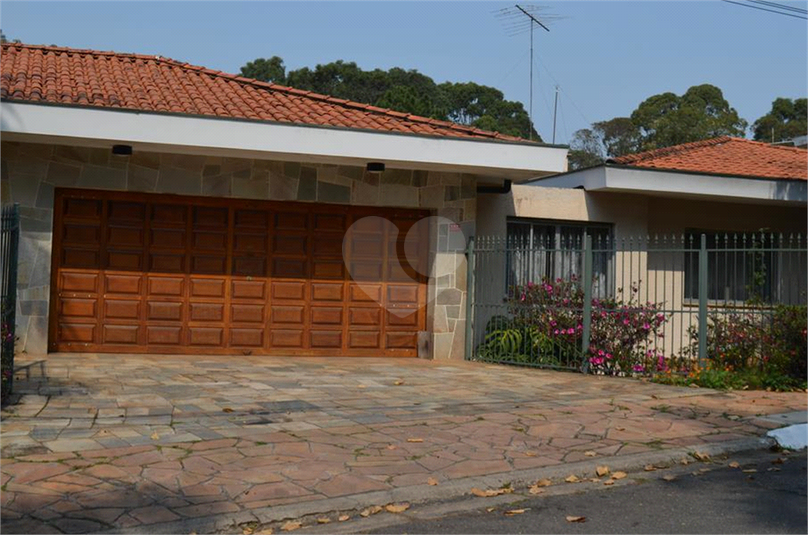 Foto REO596208