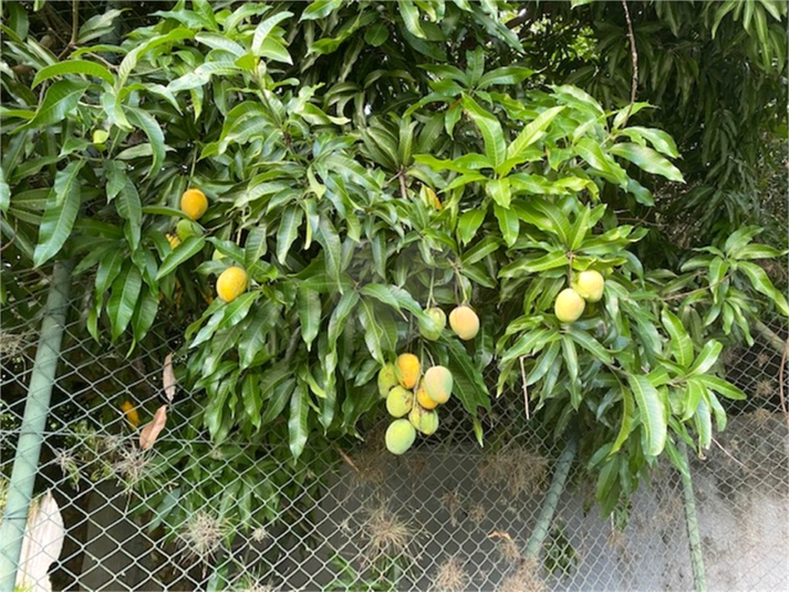 Venda Condomínio Campinas Sítios De Recreio Gramado REO596301 32