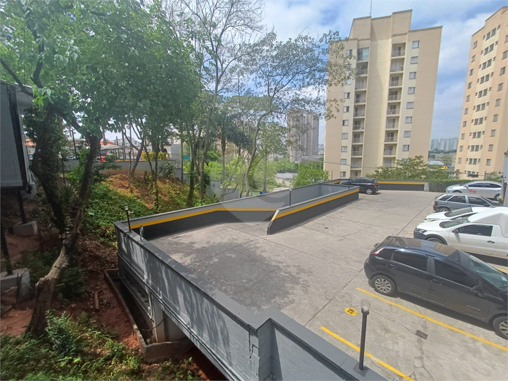 Foto REO596434