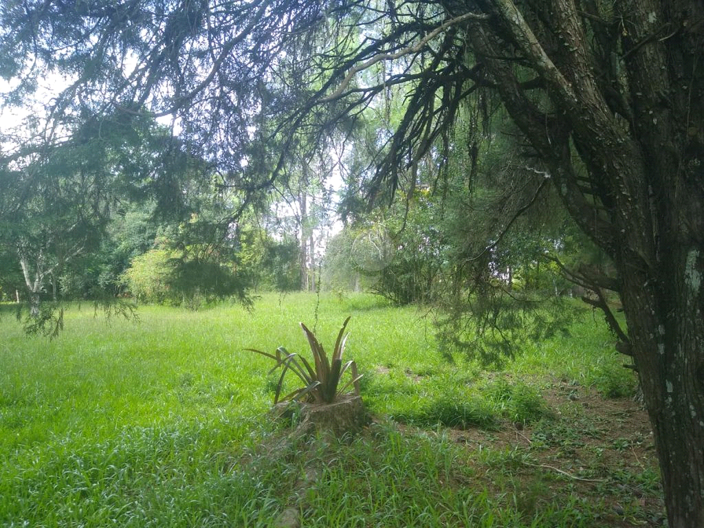 Venda Condomínio Gravataí Recanto Corcunda REO596439 15