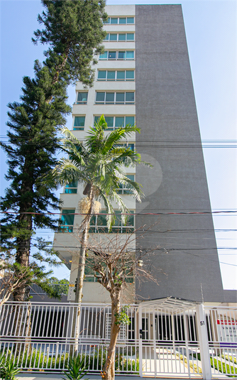 Foto REO596685