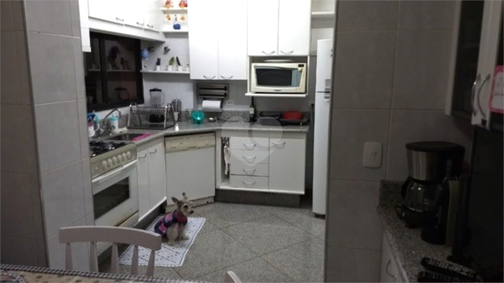 Venda Apartamento Santo André Centro REO596847 18