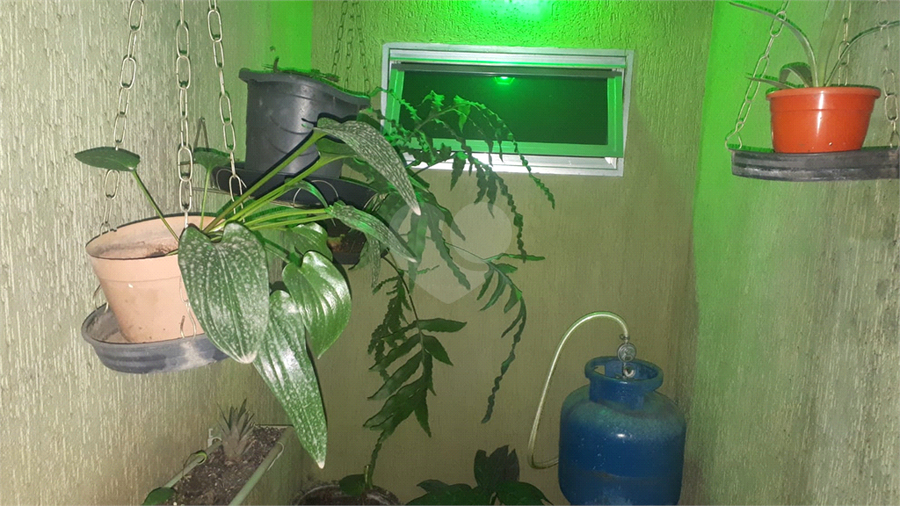 Foto REO596917