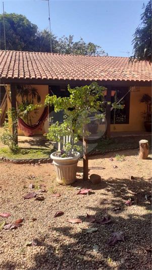 Venda Chácara Pirassununga Jardim Pavesi REO597295 5