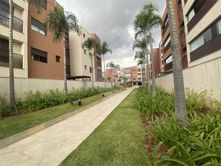 Foto REO597324