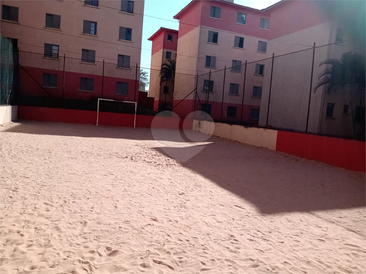 Foto REO597349