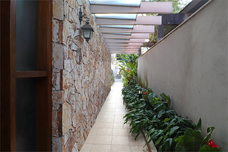 Foto REO597870