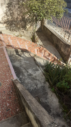 Foto REO598021
