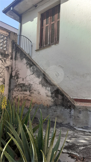 Foto REO598021