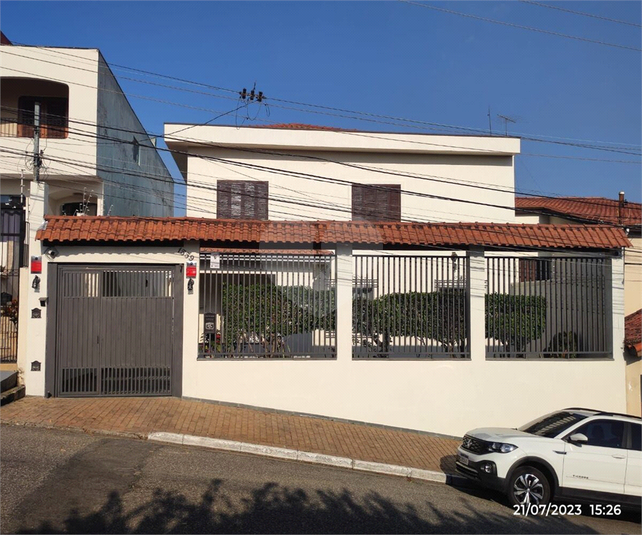 Foto REO598282
