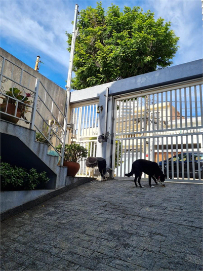 Venda Casa São Paulo Vila Firmiano Pinto REO598605 9