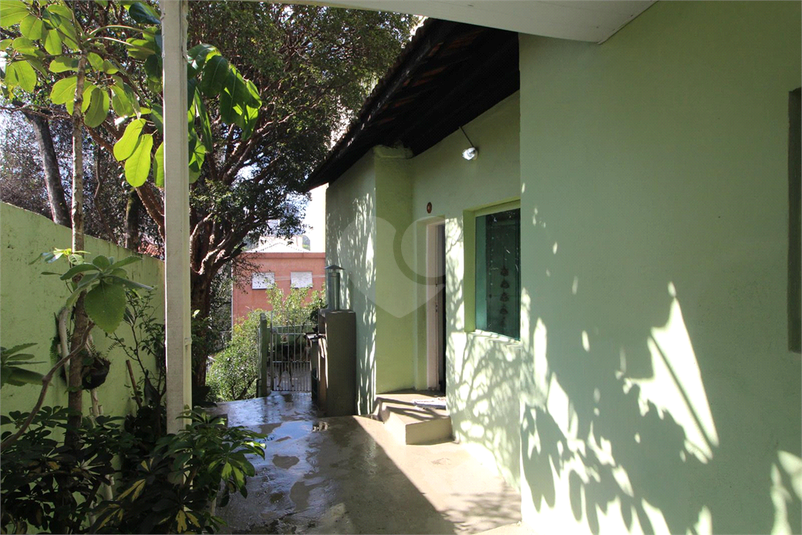 Foto REO598629