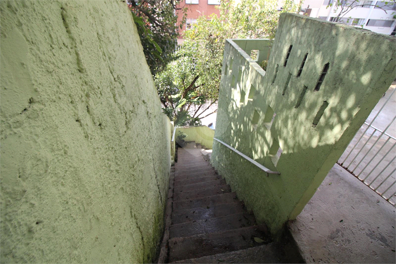 Foto REO598629