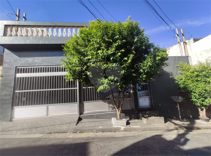 Foto REO598684