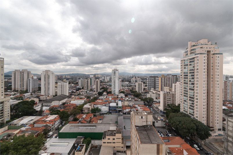 Foto REO598686