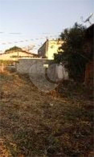Foto REO598737