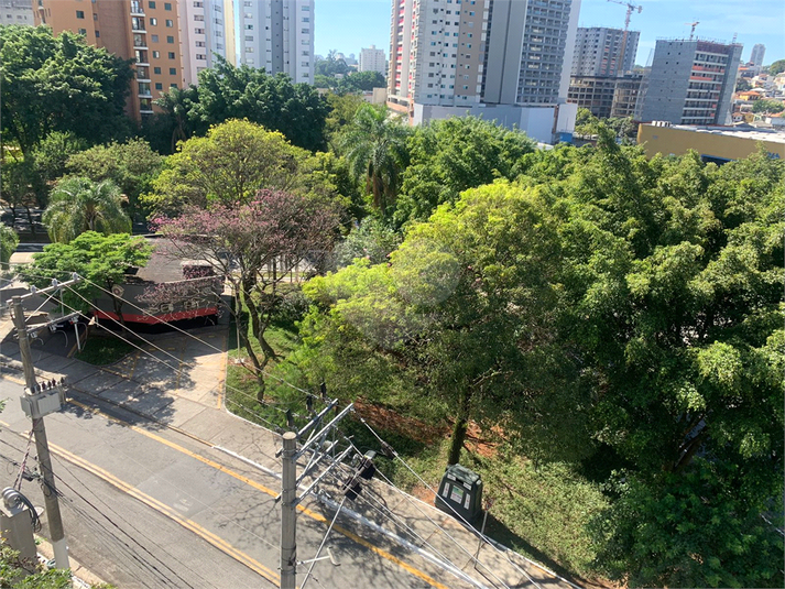 Foto REO598875