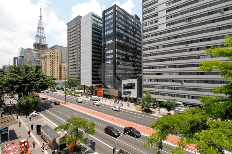 Foto REO599607