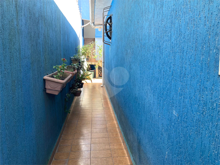 Foto REO599614