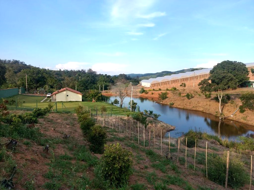 Venda Sítio Amparo Área Rural De Amparo REO599658 9