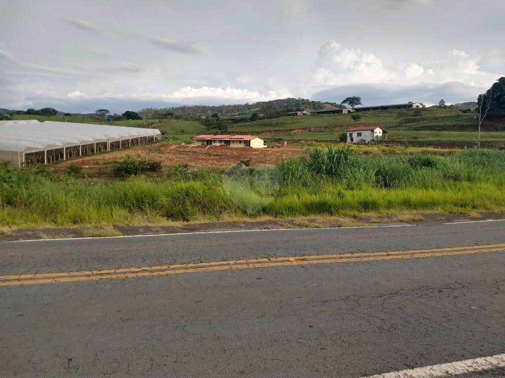 Venda Sítio Amparo Área Rural De Amparo REO599658 7