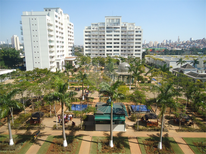 Foto REO600461