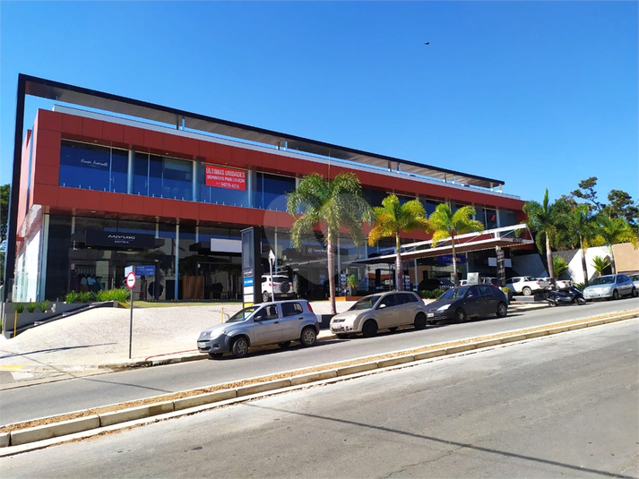 Foto REO601558