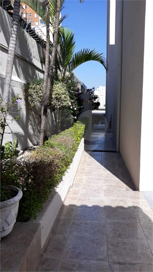Foto REO602056