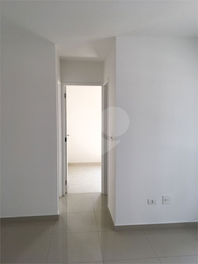 Foto REO602537