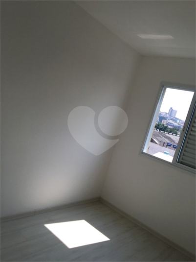 Foto REO602537