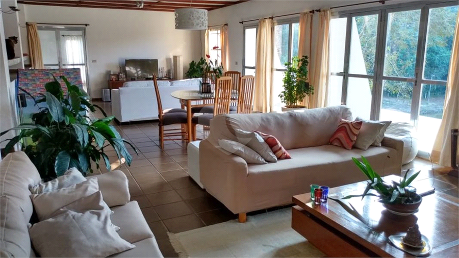 Foto REO602715