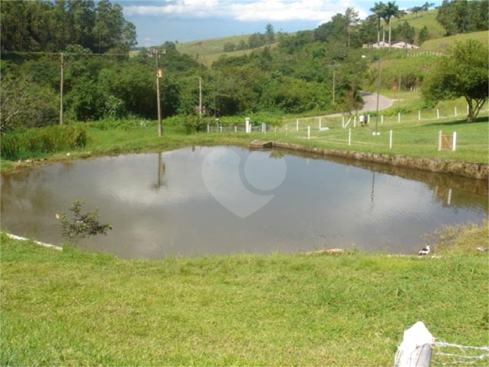 Foto REO602715