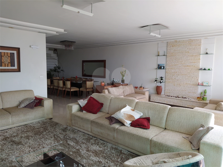 Foto REO602738