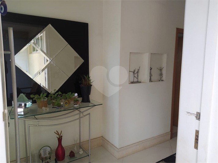 Foto REO602738
