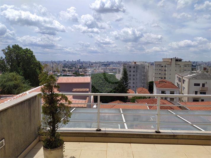 Foto REO602738