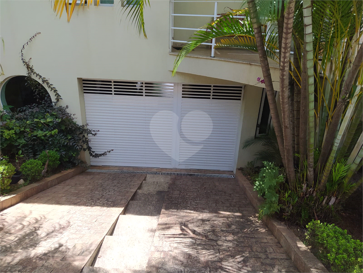 Foto REO602738